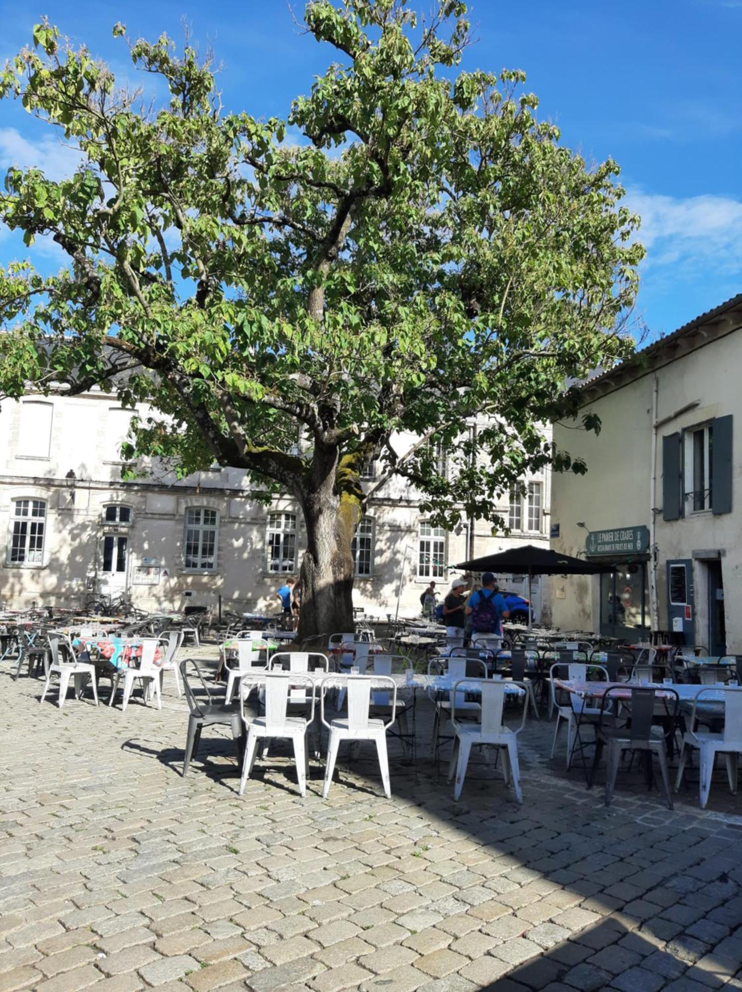 Comtesse Apartman La Rochelle  Kültér fotó